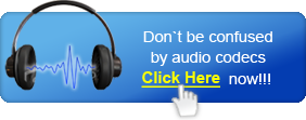 audio codec