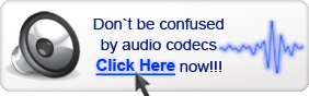 audio codec