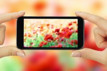 Smartphone Photography: How To Take Better Pictures With Your Phone