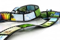 From DVD to SVCD and Beyond: Know Your Video Formats
