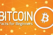 What is a Bitcoin and how does it work ?